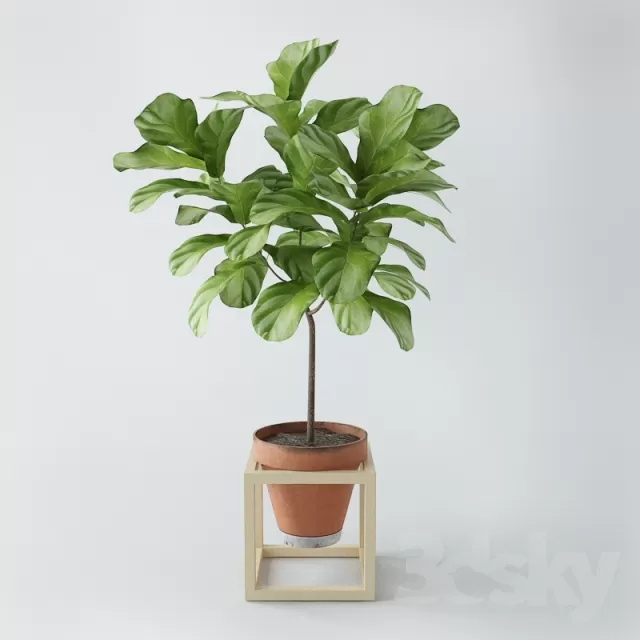 DECORATION – PLANT – 3DSMAX MODELS – 405