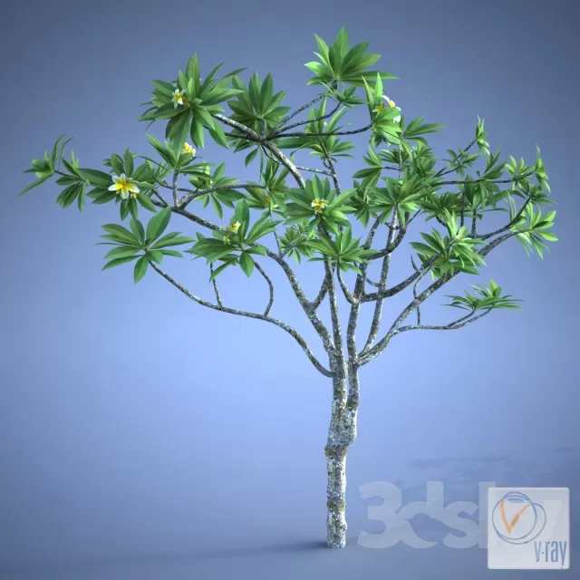 DECORATION – PLANT – 3DSMAX MODELS – 406