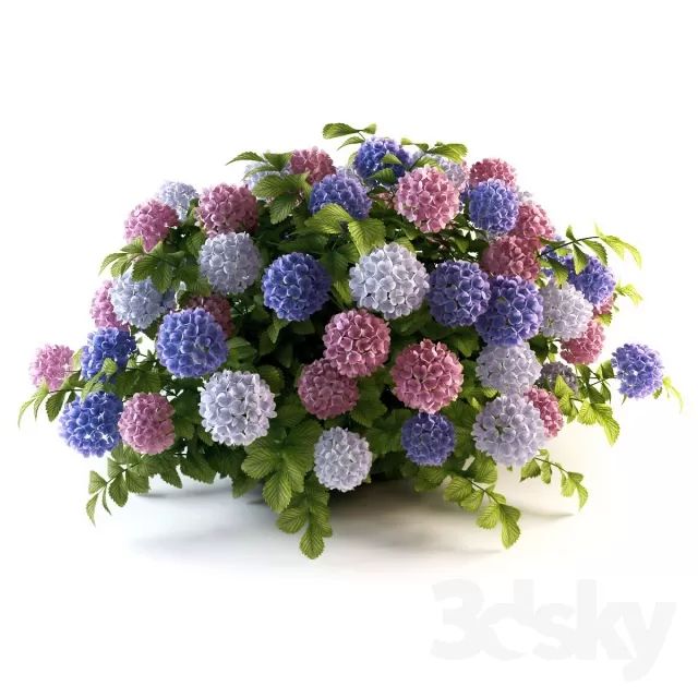 DECORATION – PLANT – 3DSMAX MODELS – 417