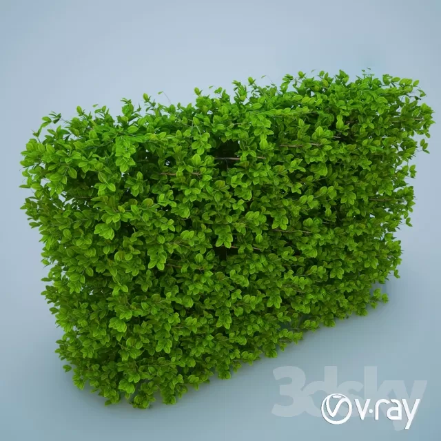 DECORATION – PLANT – 3DSMAX MODELS – 468