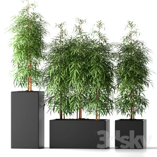 DECORATION – PLANT – 3DSMAX MODELS – 475