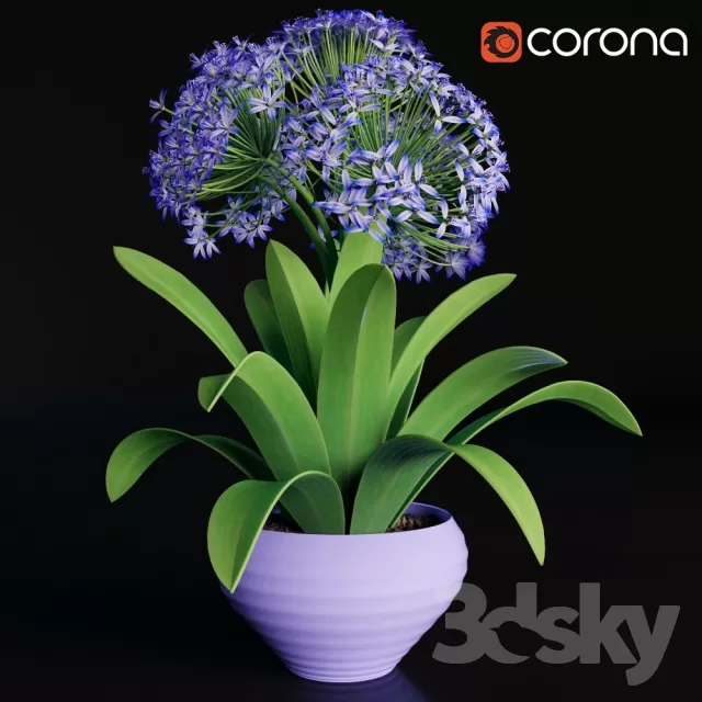 DECORATION – PLANT – 3DSMAX MODELS – 481