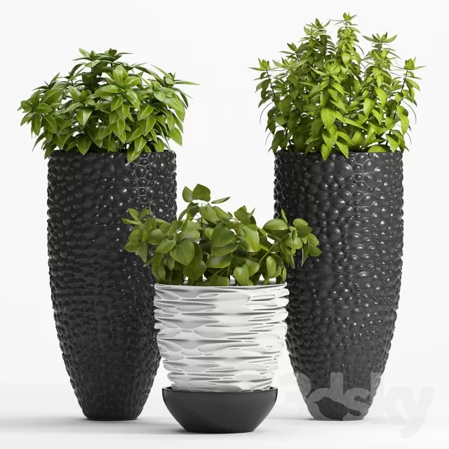DECORATION – PLANT – 3DSMAX MODELS – 517