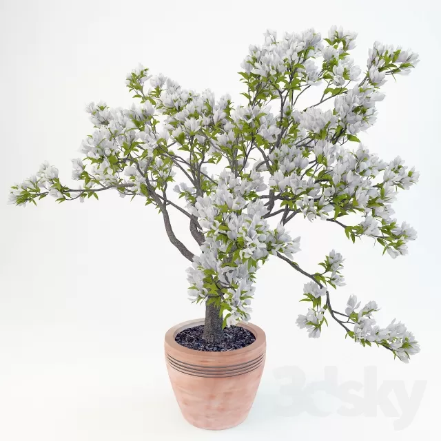 DECORATION – PLANT – 3DSMAX MODELS – 525