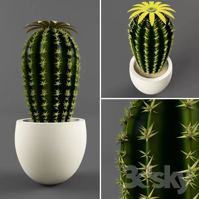 DECORATION – PLANT – 3DSMAX MODELS – 557