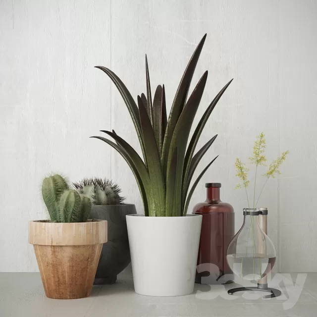 DECORATION – PLANT – 3DSMAX MODELS – 572