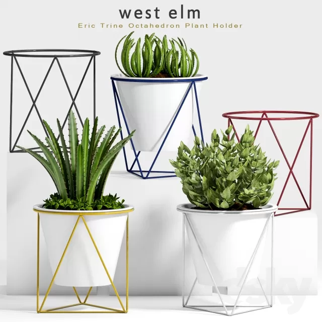 DECORATION – PLANT – 3DSMAX MODELS – 599