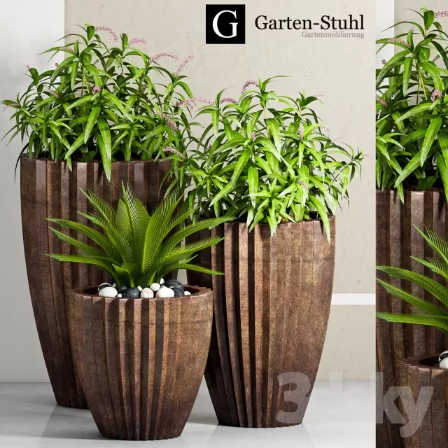 DECORATION – PLANT – 3DSMAX MODELS – 607