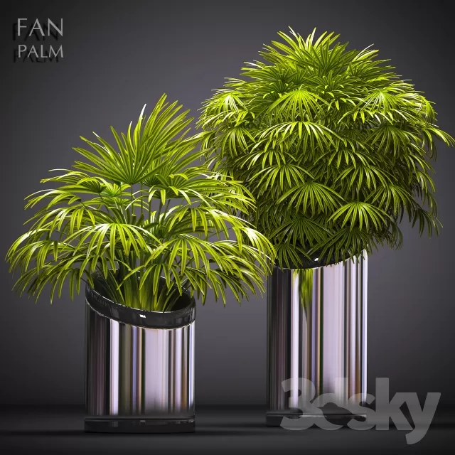 DECORATION – PLANT – 3DSMAX MODELS – 654 DECORATION – PLANT – 3DSMAX MODELS – 654