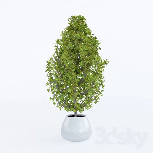 DECORATION – PLANT – 3DSMAX MODELS – 664 DECORATION – PLANT – 3DSMAX MODELS – 664