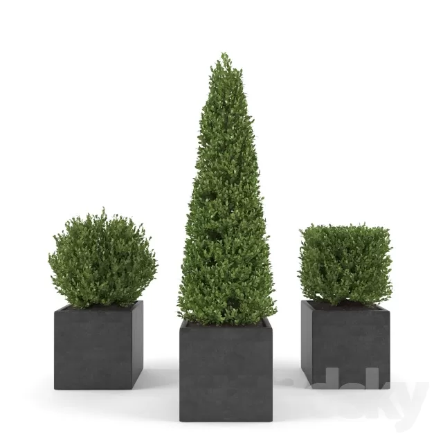 DECORATION – PLANT – 3DSMAX MODELS – 673 DECORATION – PLANT – 3DSMAX MODELS – 673