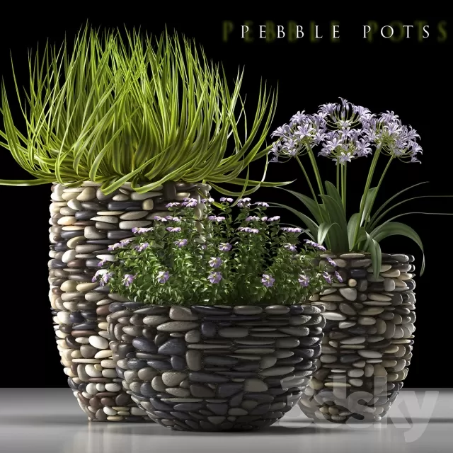 DECORATION – PLANT – 3DSMAX MODELS – 684 DECORATION – PLANT – 3DSMAX MODELS – 684