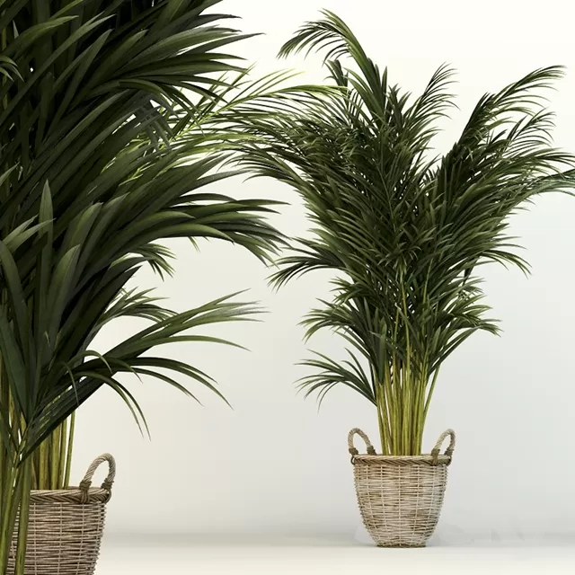 DECORATION – PLANT – 3DSMAX MODELS – 693 DECORATION – PLANT – 3DSMAX MODELS – 693