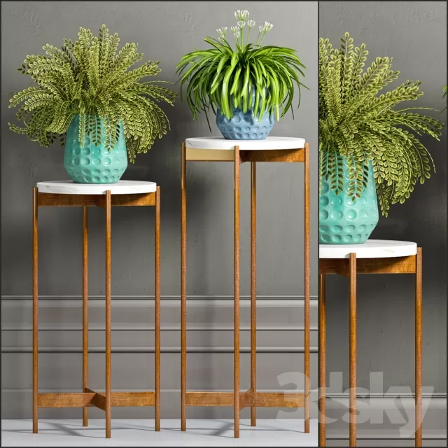DECORATION – PLANT – 3DSMAX MODELS – 695 DECORATION – PLANT – 3DSMAX MODELS – 695