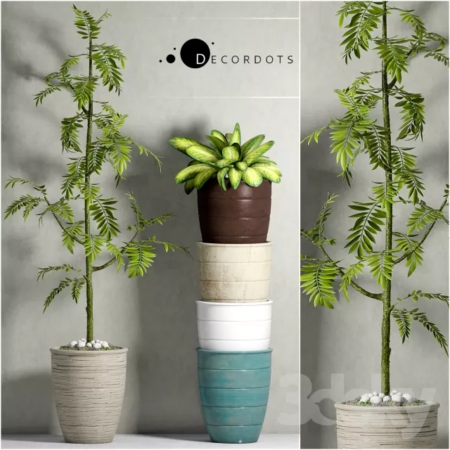 DECORATION – PLANT – 3DSMAX MODELS – 697 DECORATION – PLANT – 3DSMAX MODELS – 697