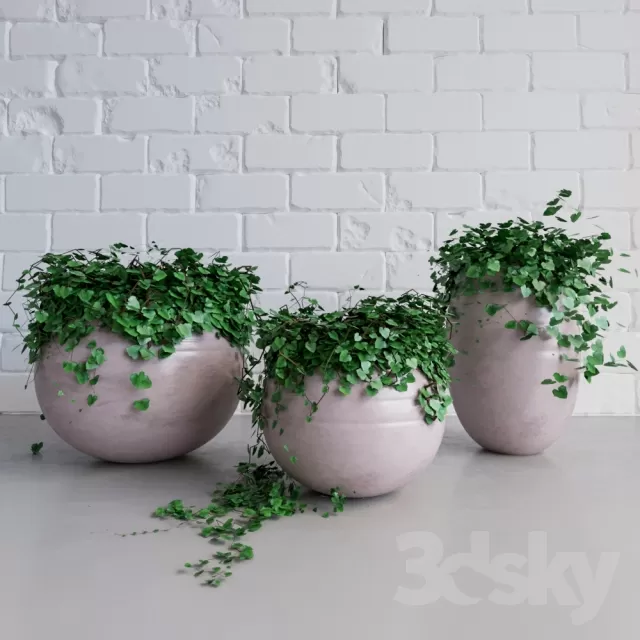 DECORATION – PLANT – 3DSMAX MODELS – 698
