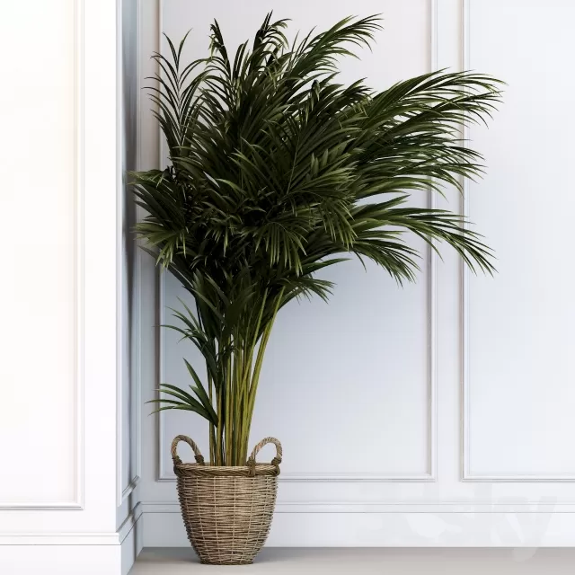 DECORATION – PLANT – 3DSMAX MODELS – 719