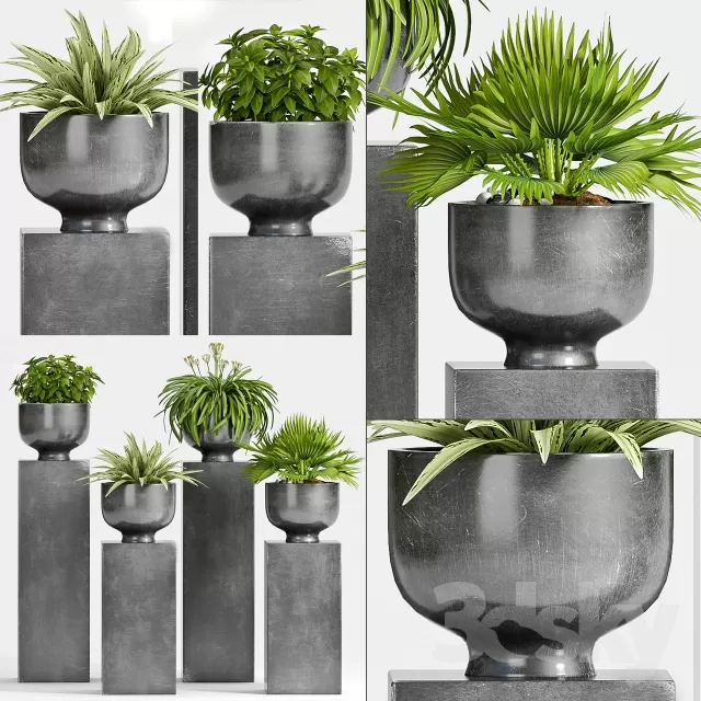 DECORATION – PLANT – 3DSMAX MODELS – 741