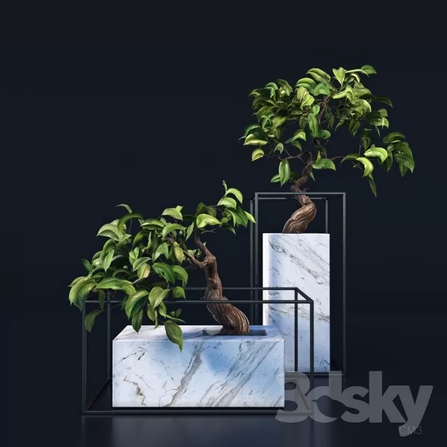 DECORATION – PLANT – 3DSMAX MODELS – 751