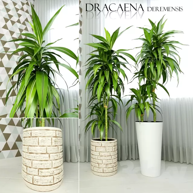 DECORATION – PLANT – 3DSMAX MODELS – 755
