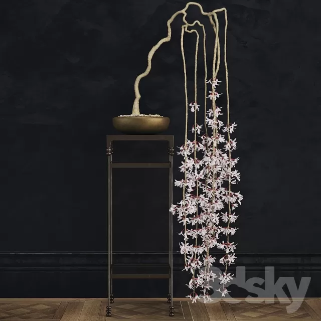 DECORATION – PLANT – 3DSMAX MODELS – 811