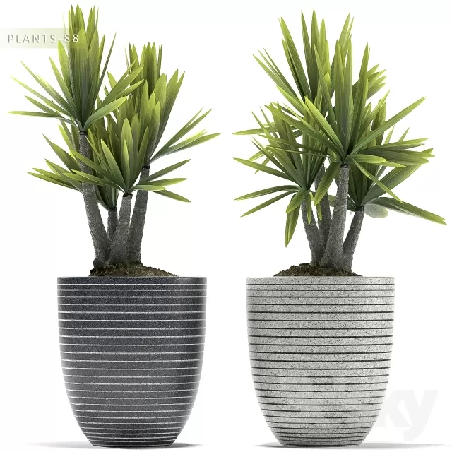 DECORATION – PLANT – 3DSMAX MODELS – 820