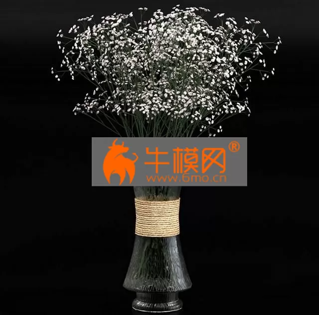 FLOWER – Bouquet of gypsophila