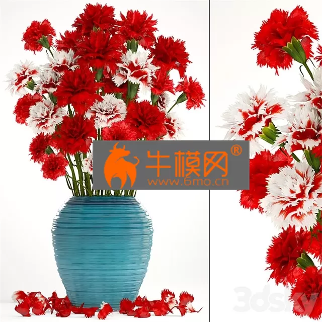 FLOWER – Collection of flowers 13. Carnation