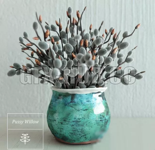 FLOWER – Pussy Willow Bouquet