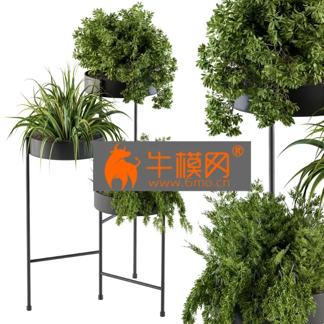 PLANT – Black round plant box