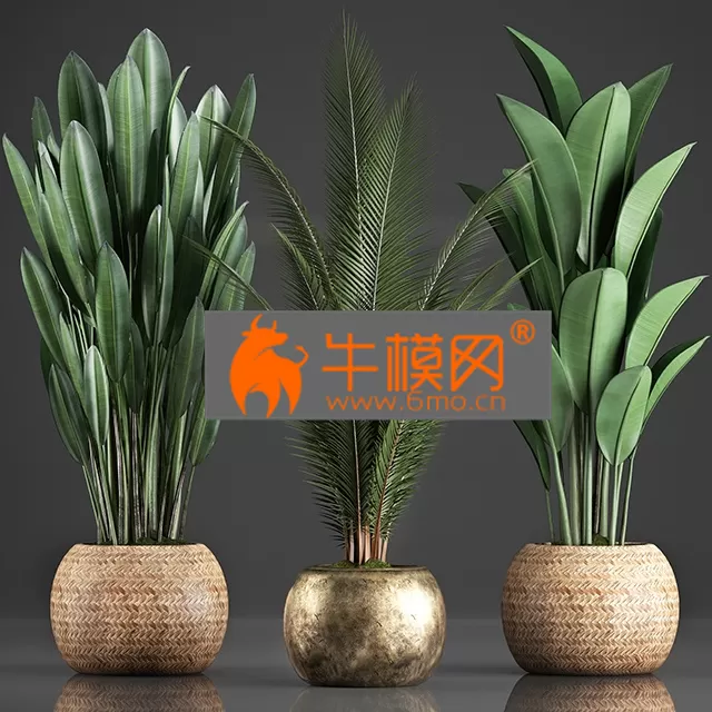 PLANT – Collection of 360 Plants