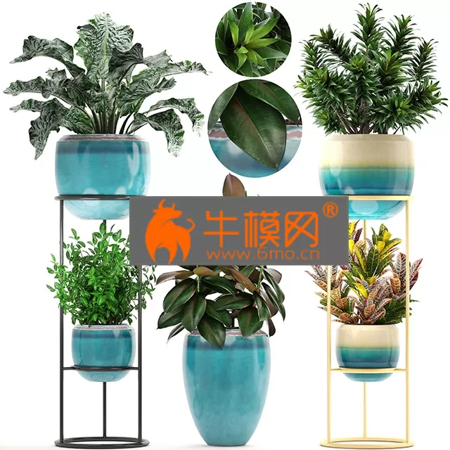 PLANT – Collection of plants