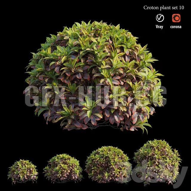 PLANT – Croton plant set 10 (4 tree)