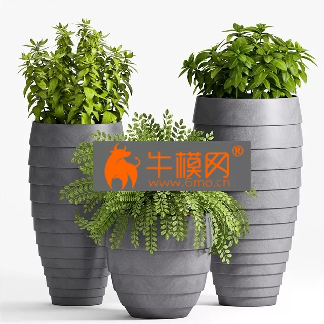 PLANT – Decorative plant set-25