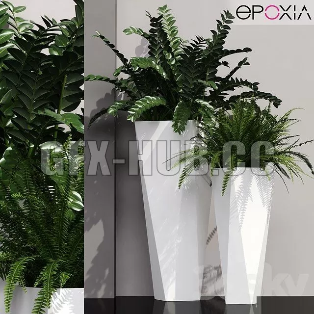 PLANT – Epoxia diamond – Plants 19