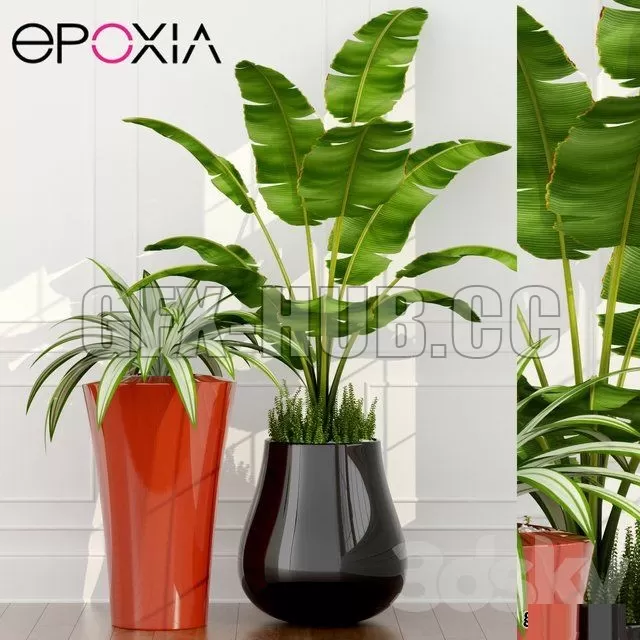 PLANT – Epoxia planters