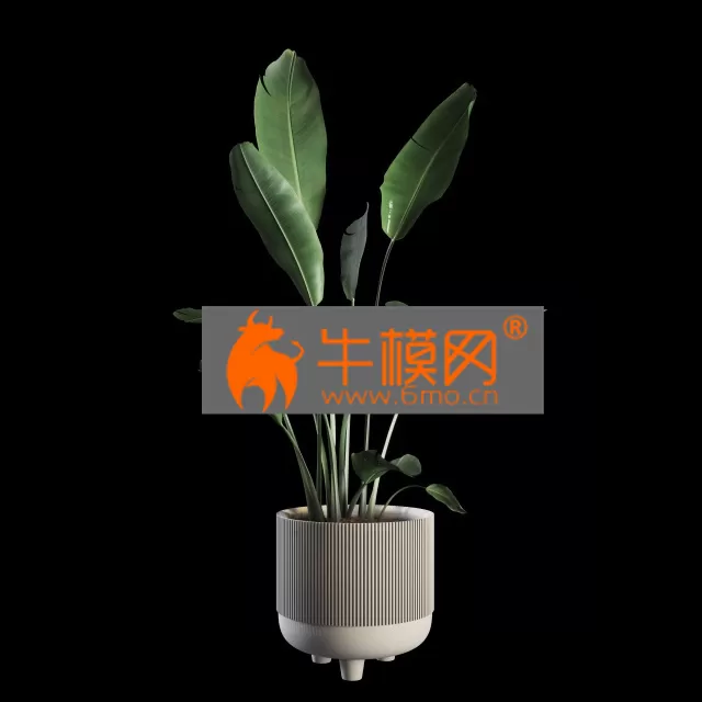 PLANT – Indoor Plants Set 04 PLANT – Indoor Plants Set 04