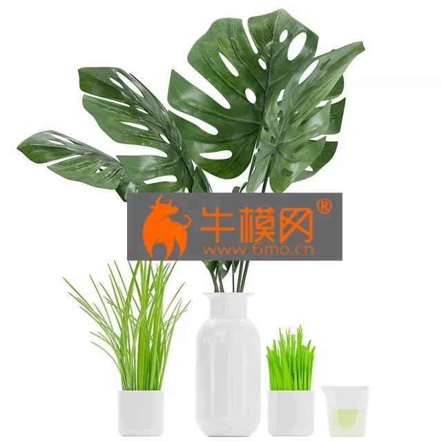 PLANT – Plant 04 (monstera, grass, aloe vera) PLANT – Plant 04 (monstera, grass, aloe vera)