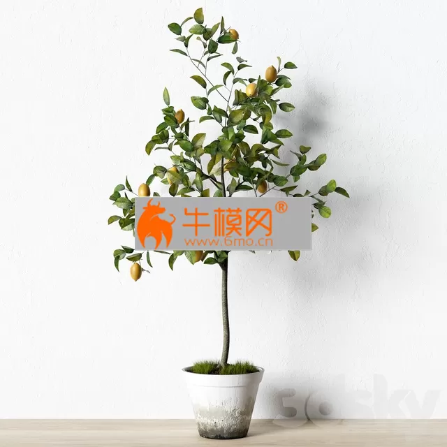 PLANT – Plant_003 PLANT – Plant_003