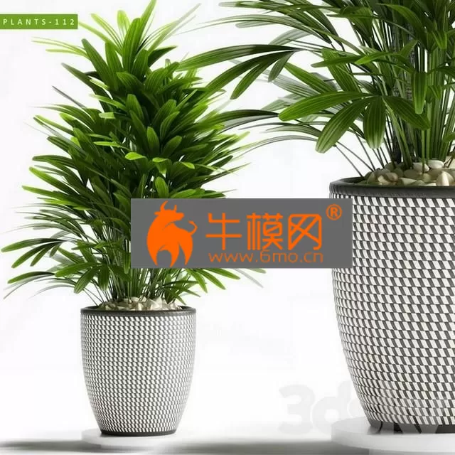 PLANT – PLANTS 112 PLANT – PLANTS 112