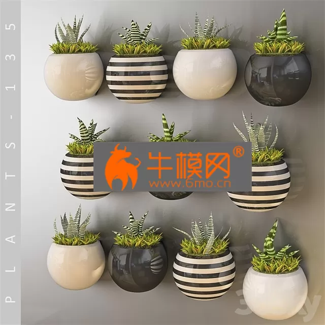 PLANT – PLANTS 135 PLANT – PLANTS 135