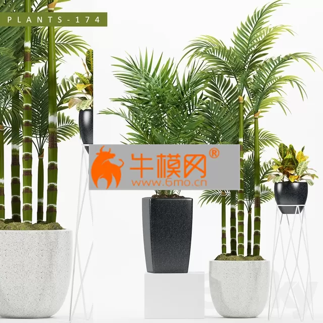 PLANT – Plants 174