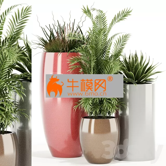 PLANT – Plants collection 100