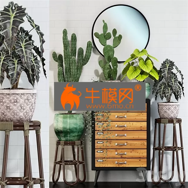 PLANT – Plants collection 123