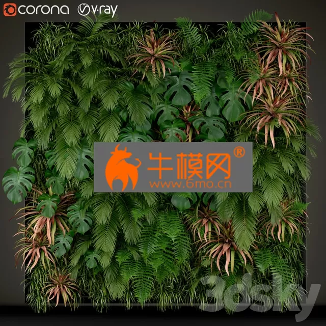 PLANT – Plants collection 200