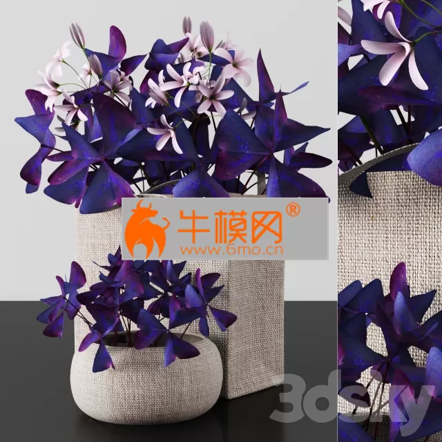 PLANT – Plants tree 54