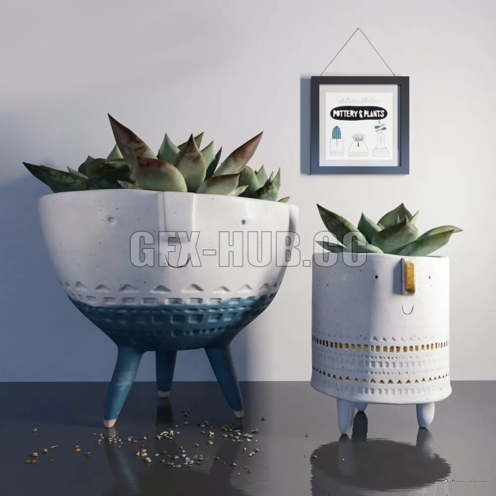 PLANT – Pottern and plants 1