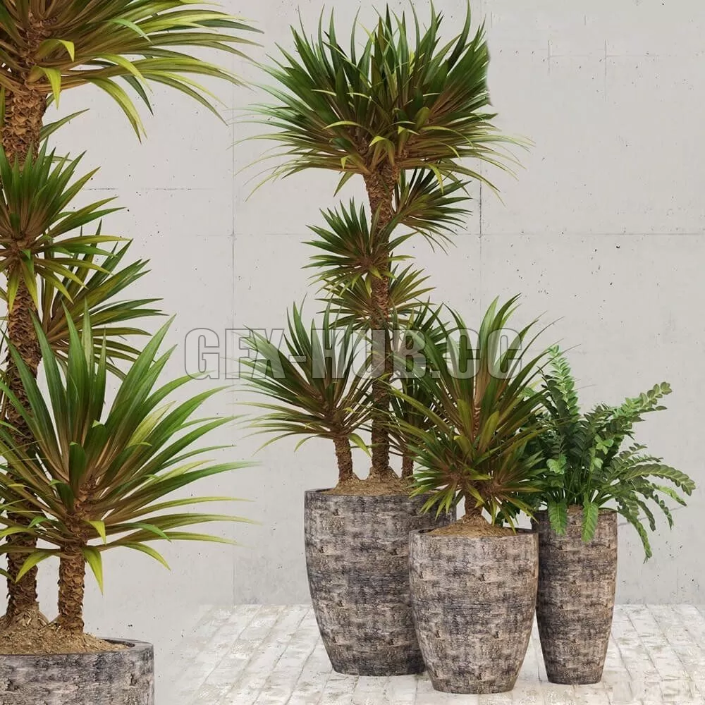 PLANT – Restoration Hardware corso planter