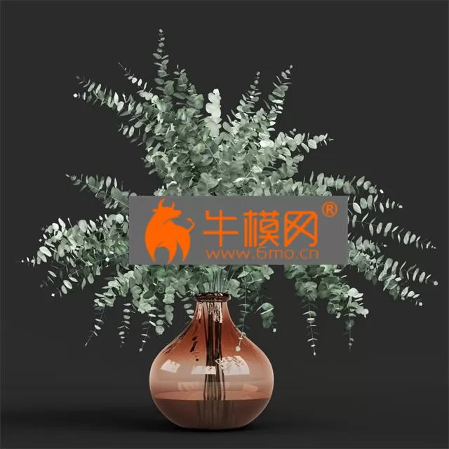 PLANT – Vase eucalyptus cinerea