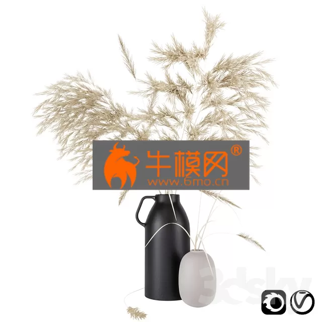 PLANT – Vases set by H & M with pampas grass